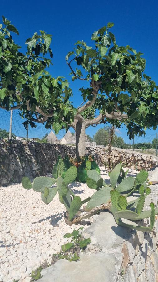马丁纳弗兰卡I Trulli Dei Nonni Evelin别墅 外观 照片